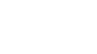 Penguin King